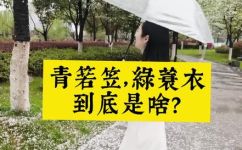 什么箬笠什么蓑衣(箬笠与蓑衣-如何区分?)