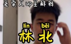 穿林北腿是什么梗(林北之足:解析穿林北腿的流行梗)