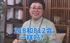 218什么意思(探讨218的意义,了解数字218的含义与相关领域应用)