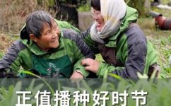 怎样播种菜种(菜种播种技巧大揭秘:跟着这个指南学会正确的种植方法)