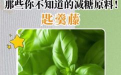 匙羹藤的功效与作用(探秘匙羹藤:功效与作用详解,让你了解它的独特魅力)