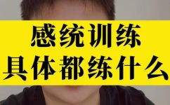 感统训练方法有哪些(提升感统能力之路:全面解析感统训练方法)