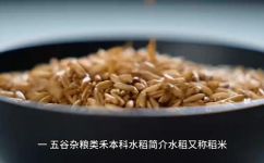 禾米是什么米(禾米是什么?禾米的种类用途营养价值大揭秘)