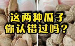 吊瓜子是什么瓜的籽吊瓜子怎么挑选(吊瓜子是什么瓜的籽?吊瓜子如何选择?获取知识来了解更多)