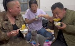 东北山货土特产都有什么(了解东北山区土特产,探寻丰富多彩的山货家乡美食)