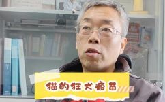 猫咪要打狂犬疫苗吗(猫咪需要接种狂犬疫苗吗?如何保护猫咪免受狂犬病侵袭?)